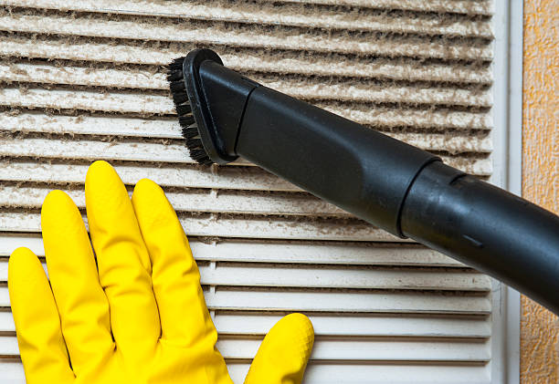 Best Home Air Vent Cleaning  in Farmington, IL